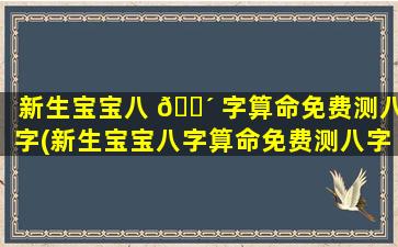 新生宝宝八 🌴 字算命免费测八字(新生宝宝八字算命免费测八字算命网)